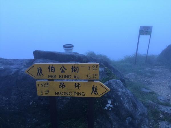 鲁能引援虽然高效，但却没抓到重点，最重要一块拼图何时能到来？